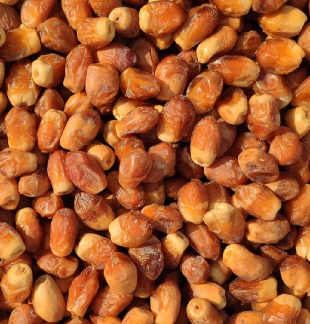 خرمای زاهدی صادراتی دشتستان