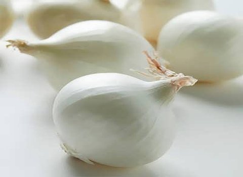 تصویر 3 از قیمت پیاز شیرین سفید جیرفت + خرید باور نکردنی