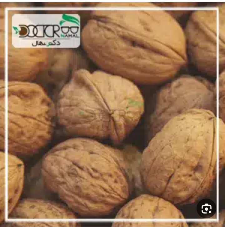 تصویر 2 از گردو مرغوب اذرشهر
