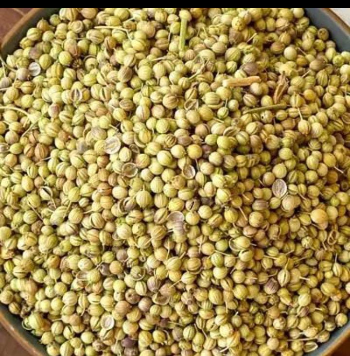 تصویر 2 از قیمت گشنیز توپی و لپه پاک و بوجار شده
