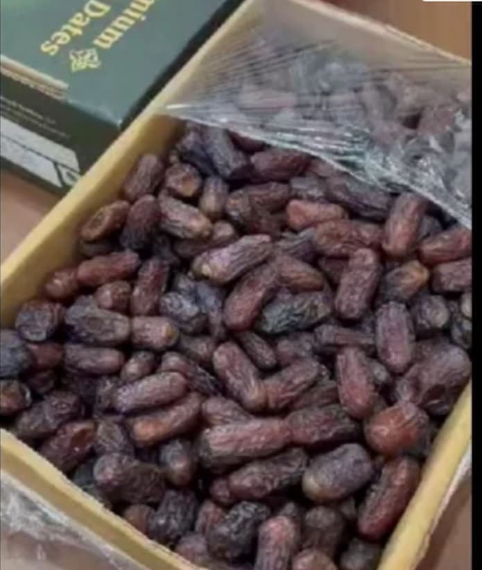 خرما دمباز