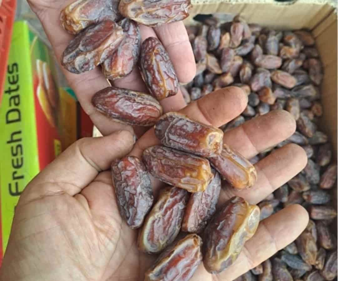 خرید خرما دمباز