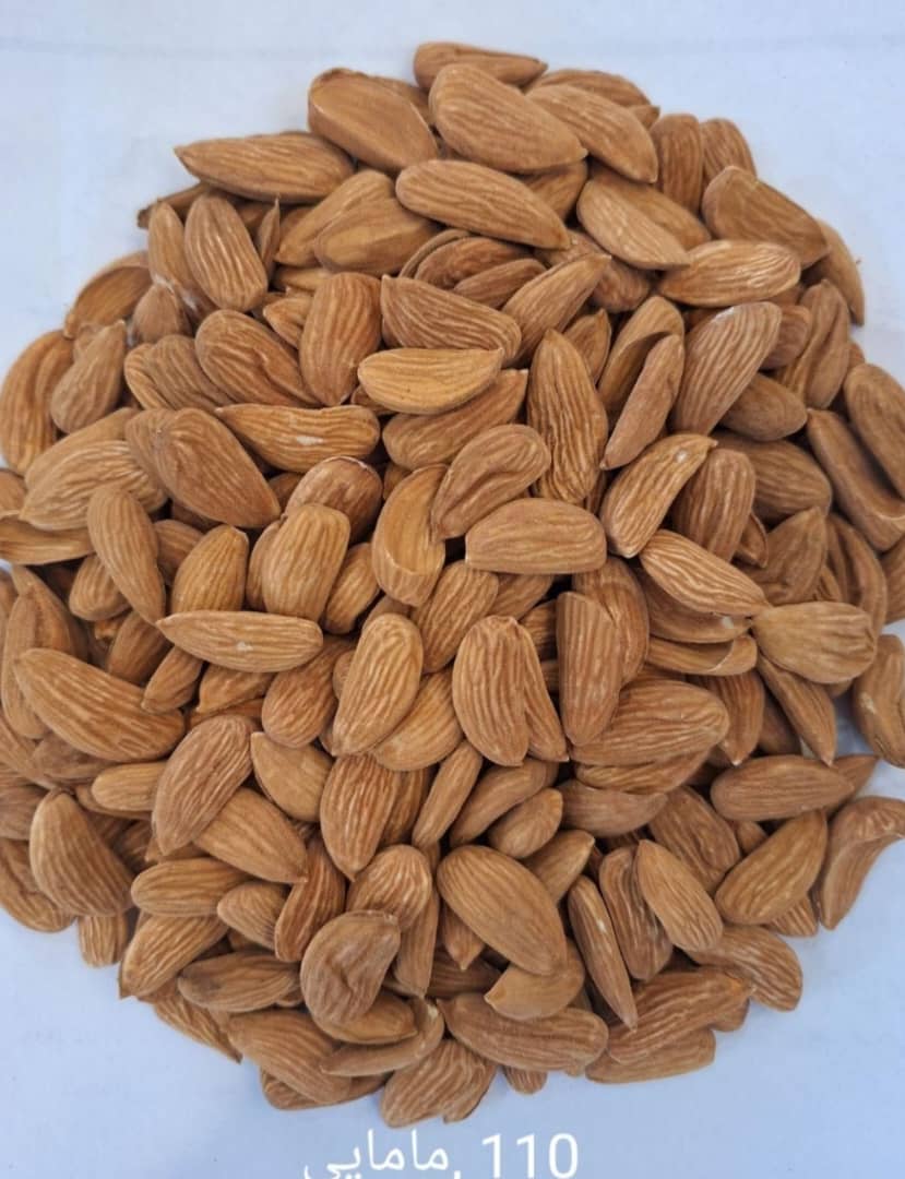 تصویر 1 از مغز بادام مامایی لوکس + خرید عمده