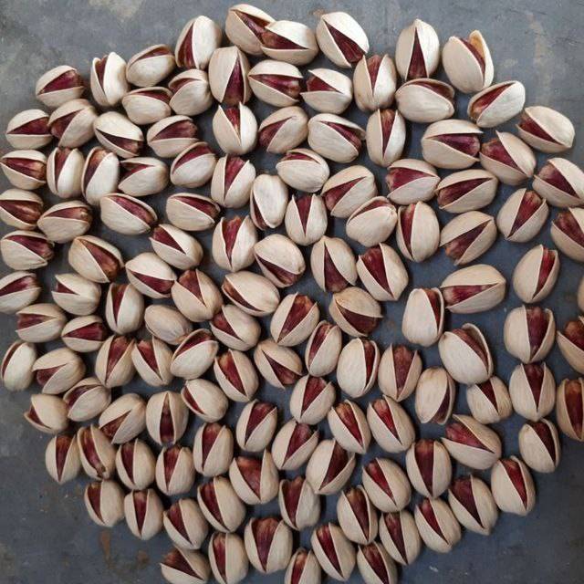 تصویر 3 از پسته کله قوچی درجه یک + قیمت روز