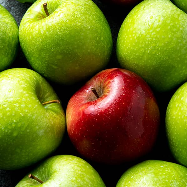 تصویر 2 از قیمت عمده سیب درختی ارومیه با شرایط عالی