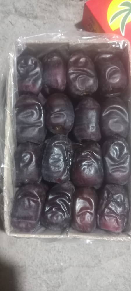 خرما بم قیمت عمده