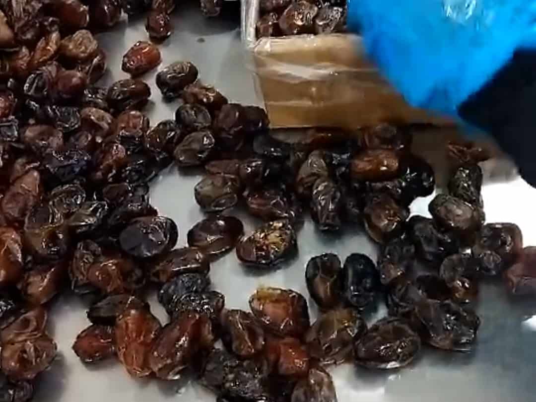 تصویر 2 از خرما بم قیمت عمده