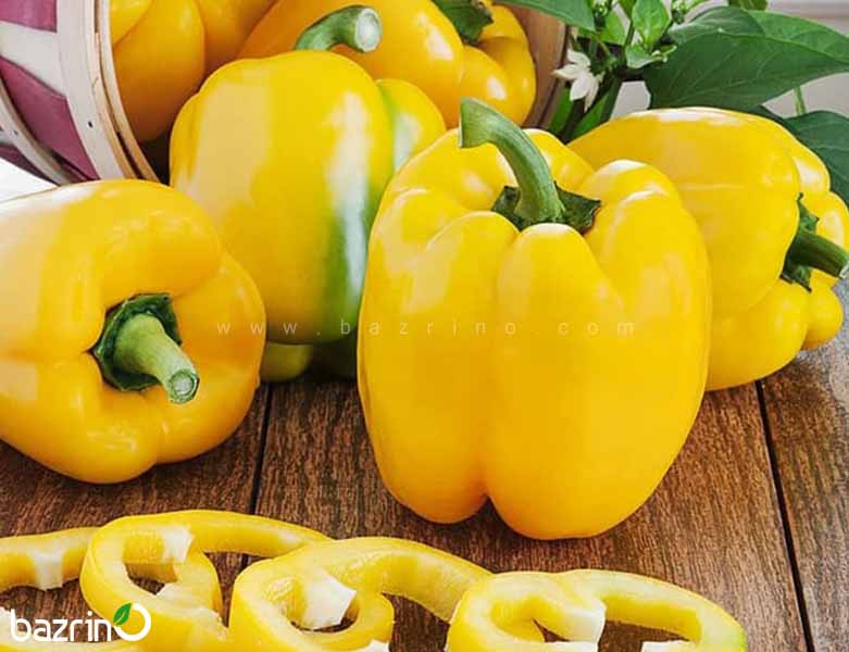 تصویر 2 از قیمت فلفل دلمه ای زرد + فروش فوق العاده