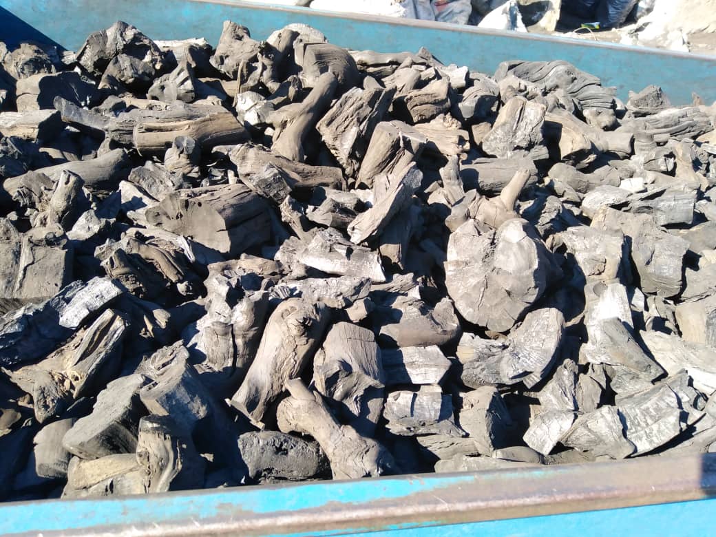 تصویر 1 از زغال کبابی راش سایز درشت و متوسط