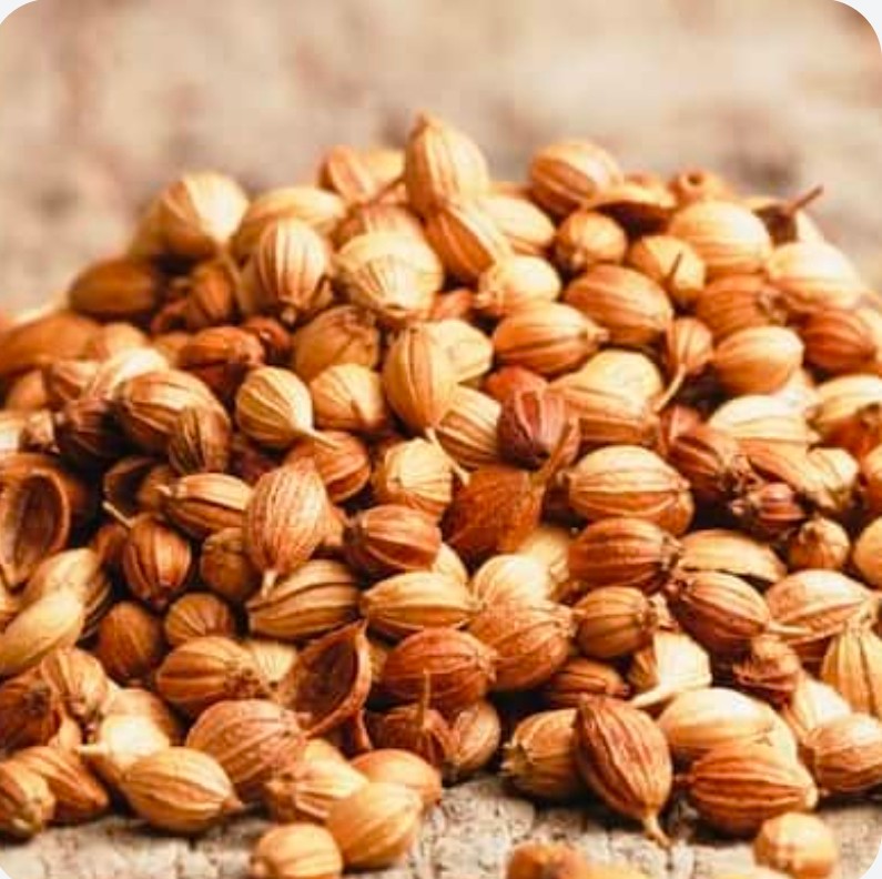 تصویر 2 از پودر و تخم گشنیز تازه امسال + قیمت های پایین + بیواسطه واسطه