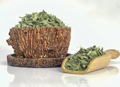 تصویر 1 از خرید گیاه دارویی پونه + قیمت باور نکردنی