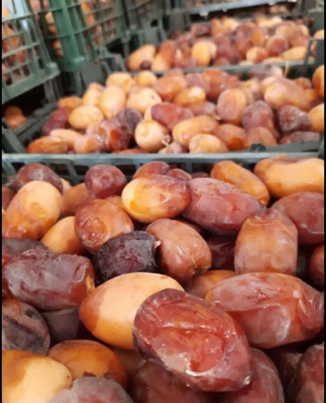 خرید عمده خرما عسلی سبدی + قیمت ویژه