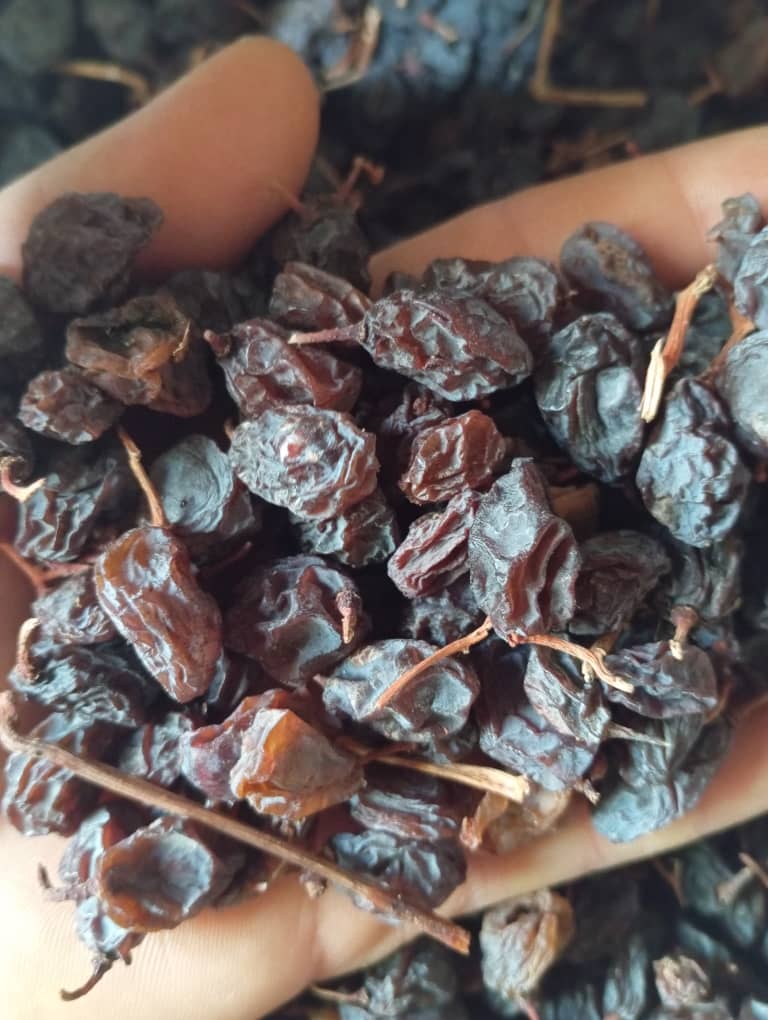 تصویر 3 از خرید عمده مویز قرمز