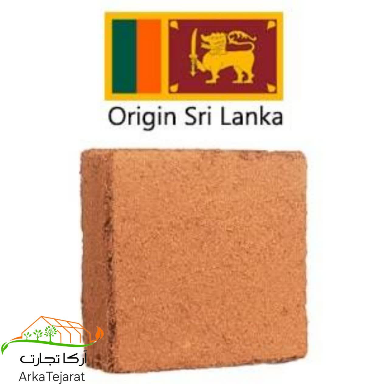 تصویر 1 از قیمت کوکوپیت سریلانکایی خریدی مطمئن و بی واسطه