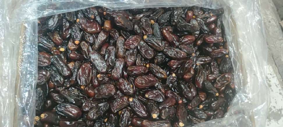 تصویر 1 از فروش ویژه خرما ربی