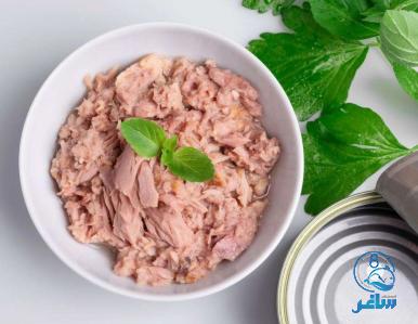 تصویر 5 از قیمت فروش کنسرو ماهی خوشمزه تازه + با قیمت فروش باور نکردنی