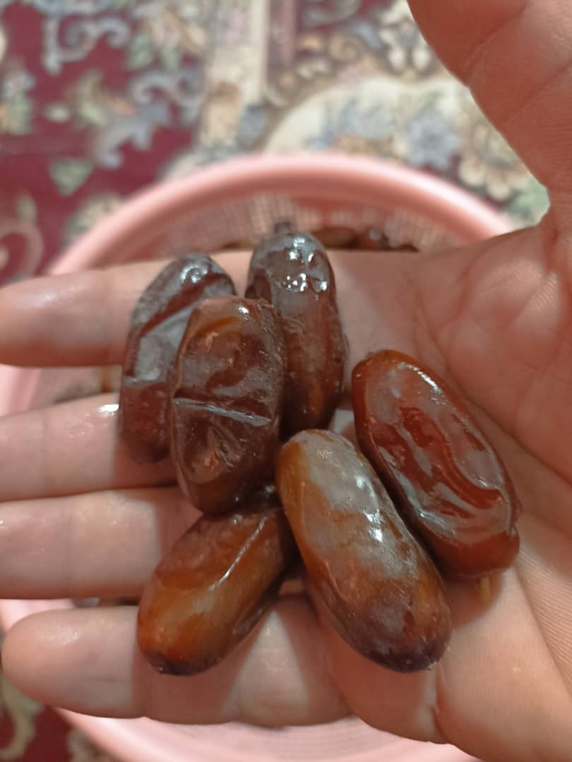 خرید و قیمت خرمای ربی سیستان + فروش عمده