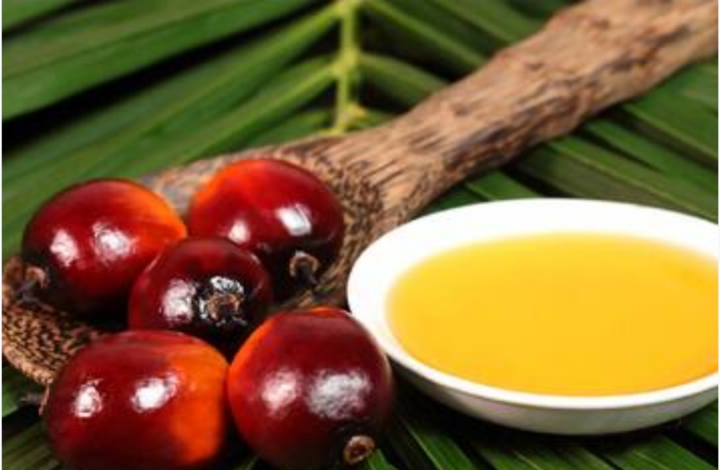 تصویر 3 از خرید و قیمت روغن هسته خرما فروش عمده