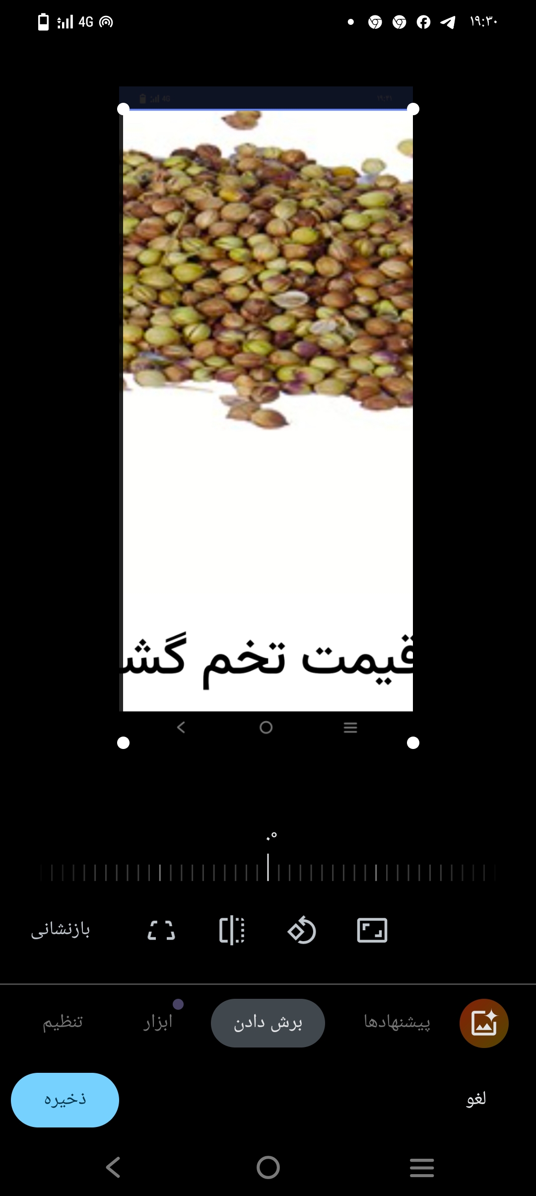 تصویر 3 از ارسال بی وقفه در خرید تخم گشنیز بدون واسطه