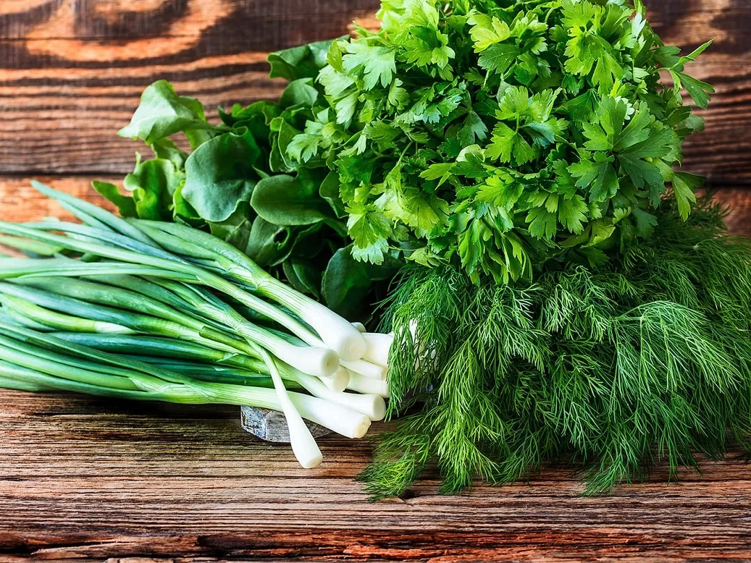 تصویر 1 از خرید عمده سبزی خشک قرمه
