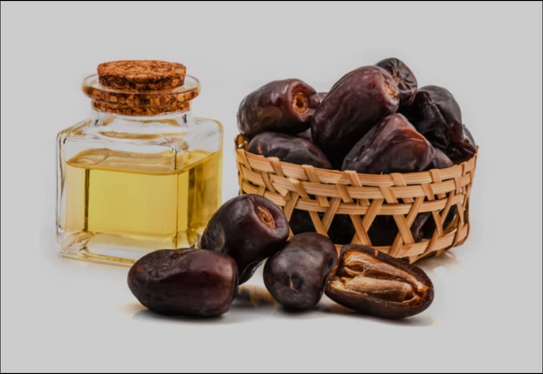 قیمت خرما مضافتی صادراتی بم با خرید مستقیم از نخلستان