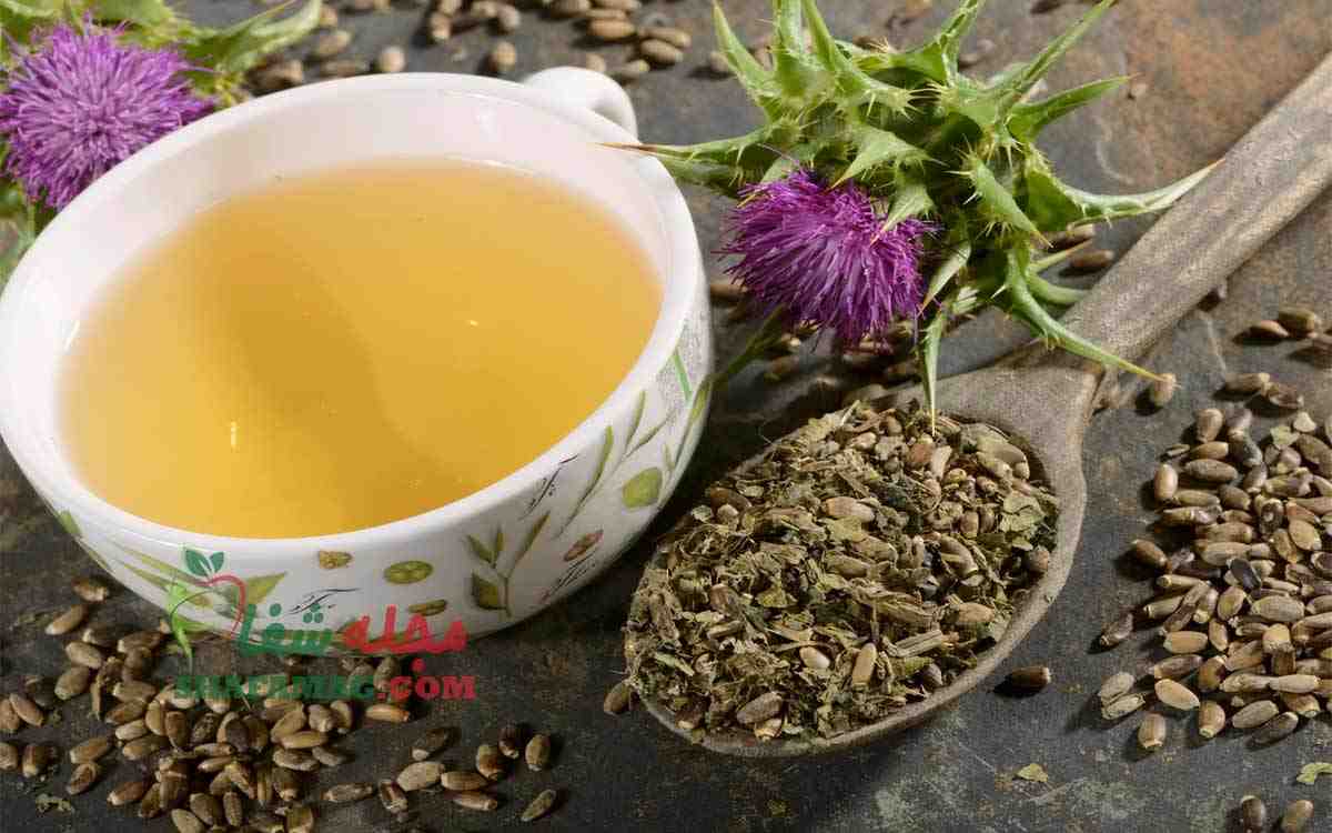تصویر 1 از قیمت خارمریم دارویی برای فرآورده‌ های سم‌ زدا