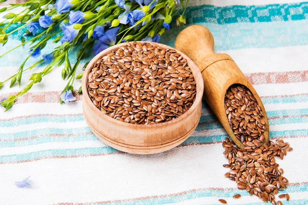 تصویر 2 از قیمت باریکه تخم کتان عمده و کاربرد گسترده در صنایع غذایی رژیمی