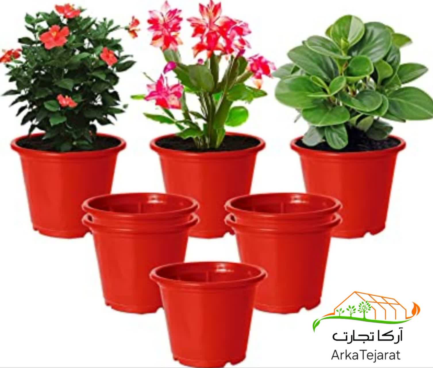 تصویر 5 از پخش عمده گلدان پلاستیکی در سراسر ایران با بهترین قیمت