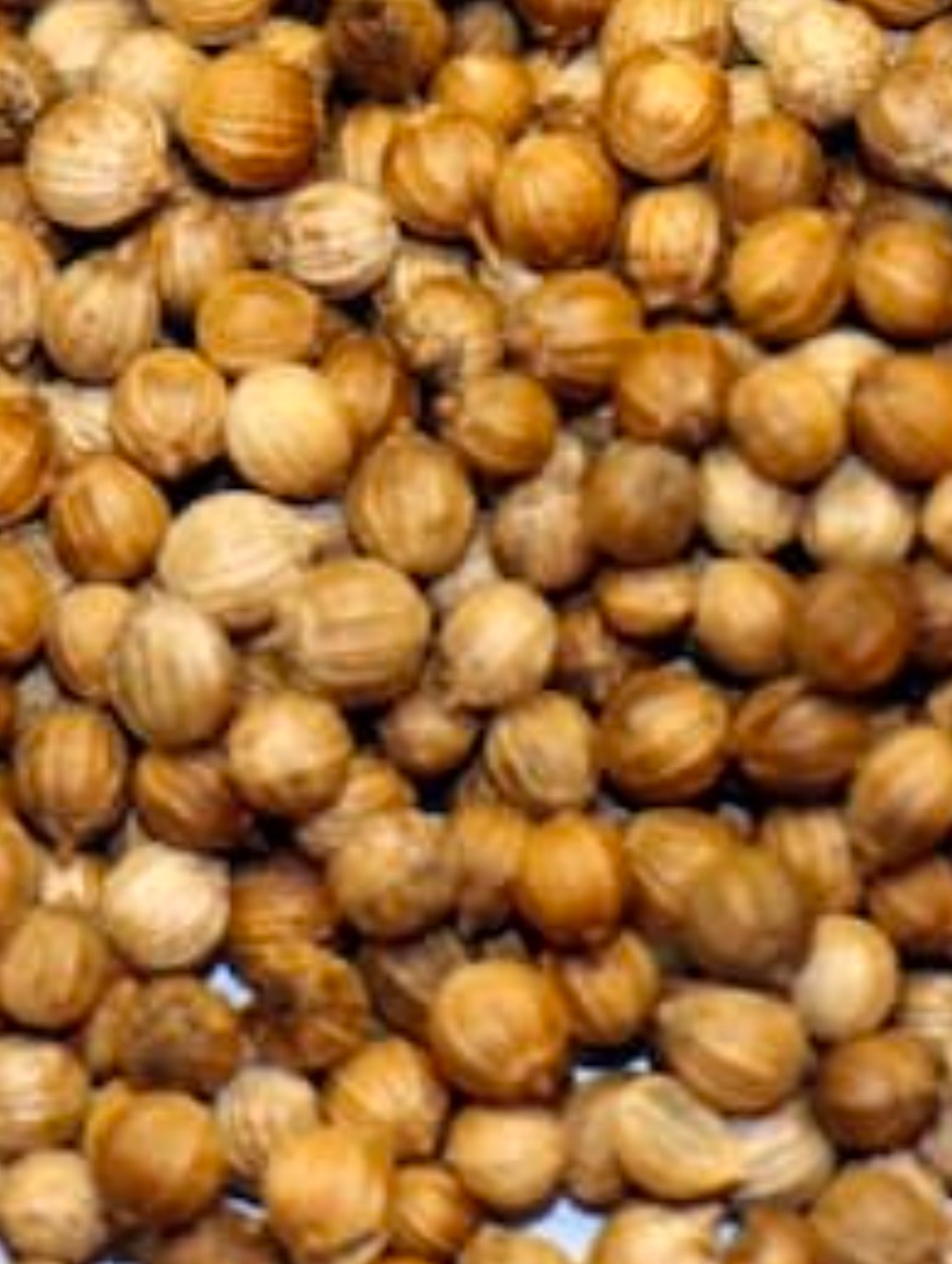 تصویر 1 از فروش و ارسال تخم گشنیز به کارخانه و تولیدی ها