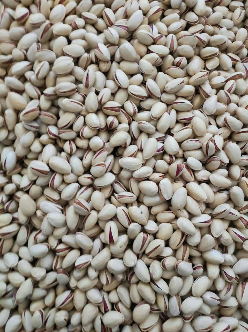 تصویر 1 از خرید عمده پسته احمدآقایی ممتاز