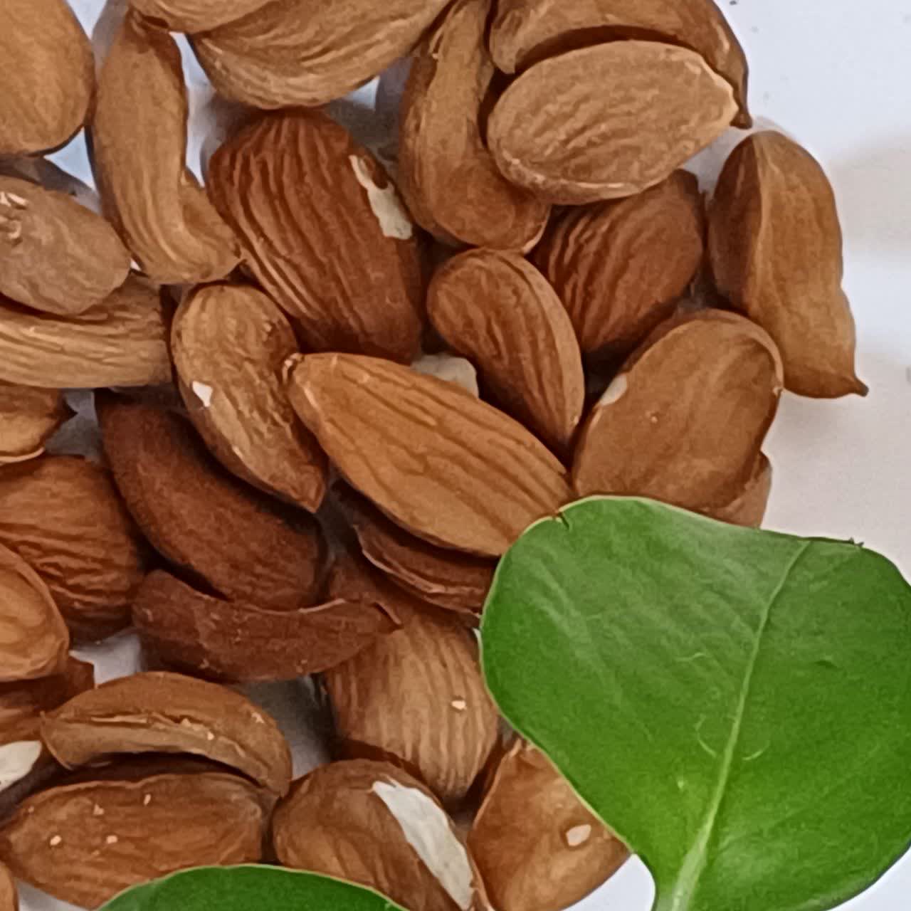 تصویر 1 از قیمت بادام درختی ایرانی خام + فروش ویژه
