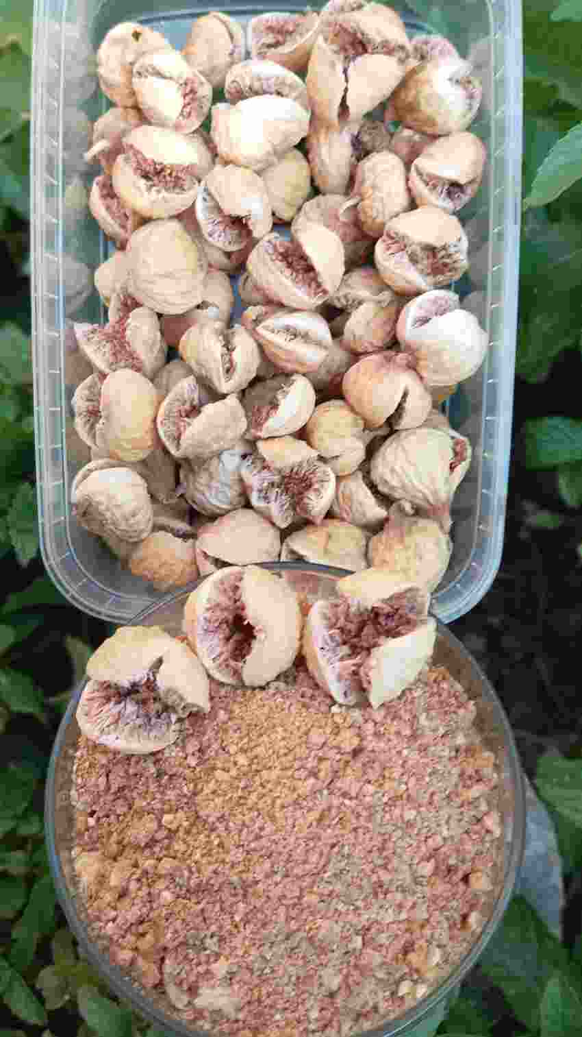 تصویر 2 از خرید انجیر تازه + قیمت فروش عمده