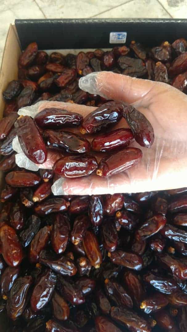 تصویر 2 از قیمت عمده خرما ربی