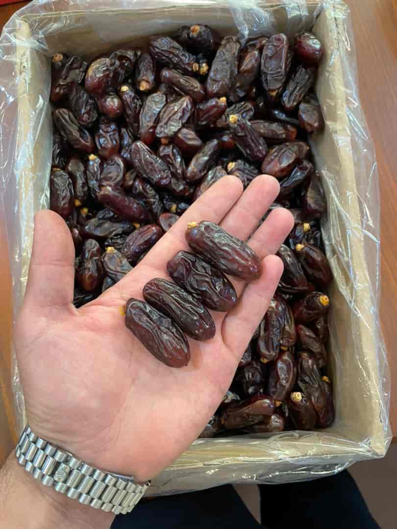 تصویر 1 از قیمت عمده خرما ربی