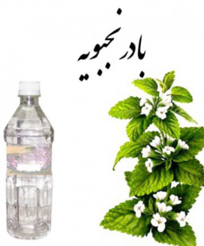 تصویر 3 از قیمت خرید مناسب عرق بادرنجبویه