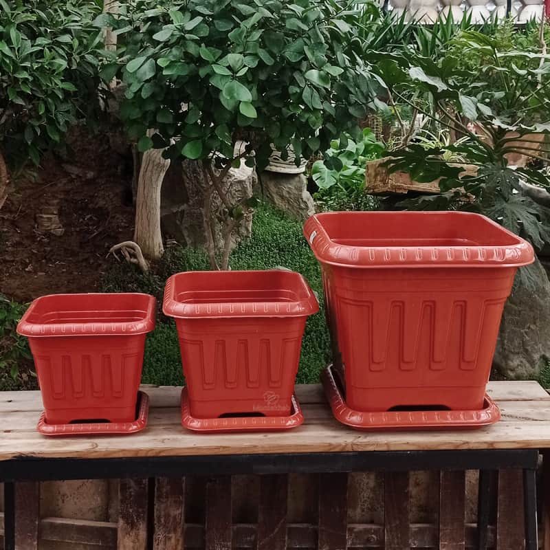 تصویر 1 از خرید گلدان های پلاستیکی بزرگ برای باغچه به صورت عمده