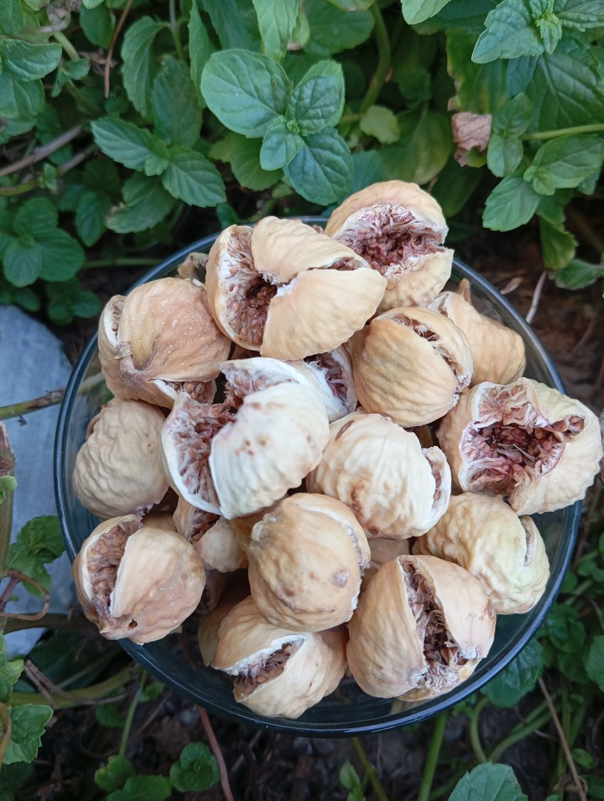 تصویر 3 از خرید انجیر خشک بسته بندی شده