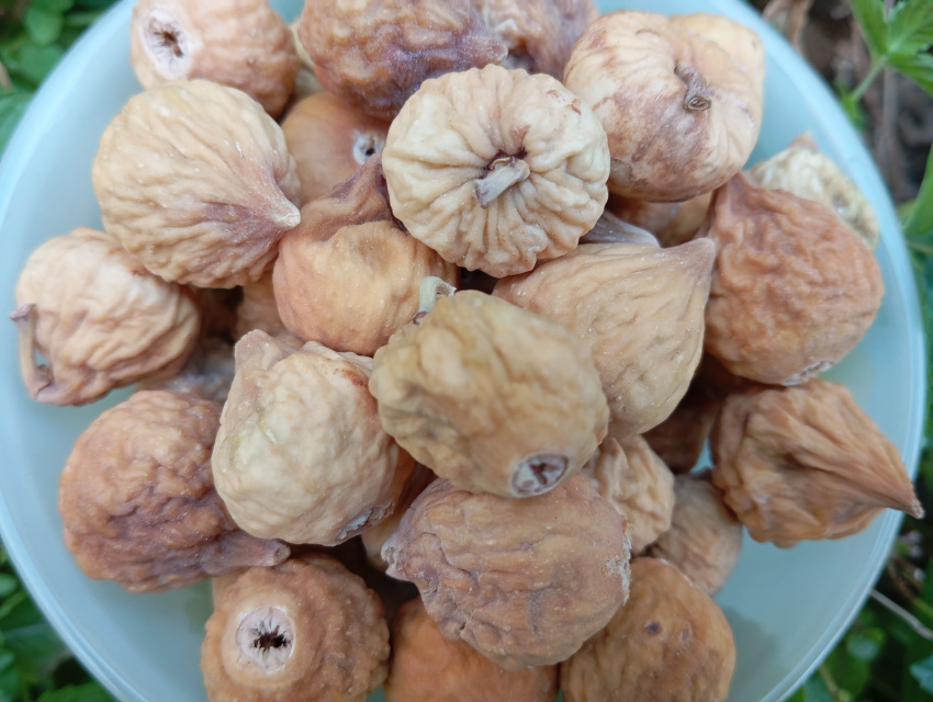 تصویر 4 از عرضه عمده انجیر خشک اعلا با کیفیت عالی