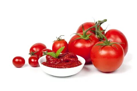 تصویر 4 از صادرات رب گوجه فرنگی به عمان