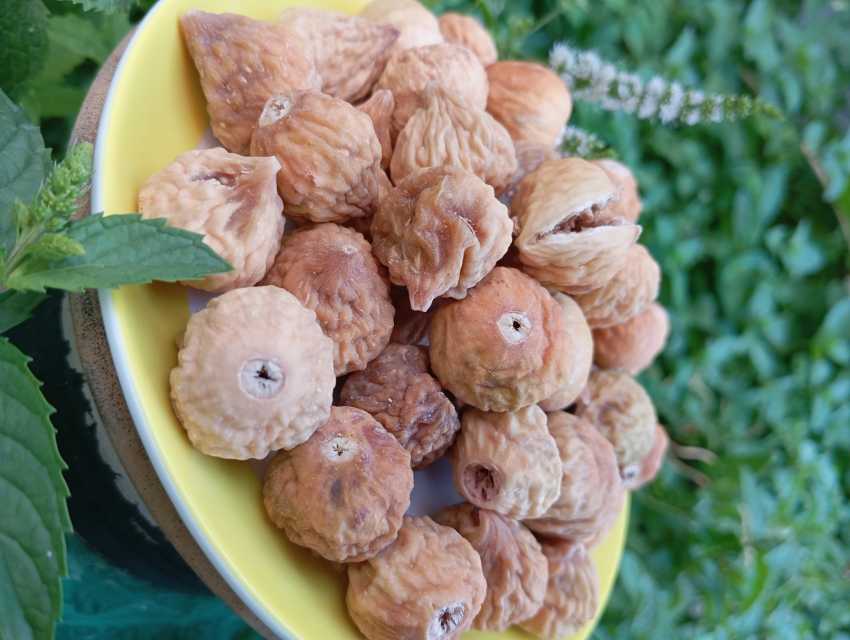 تصویر 2 از خرید انجیر خشک استهبان رنگ روشن + تخفیف ویژه