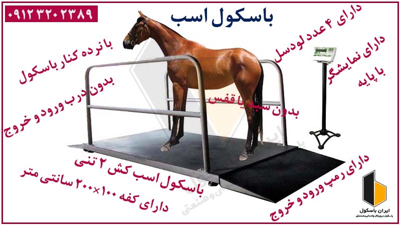 تصویر 3 از باسکول اسب کش دیجیتال با رمپ ورودی و نمایشگر بزرگ