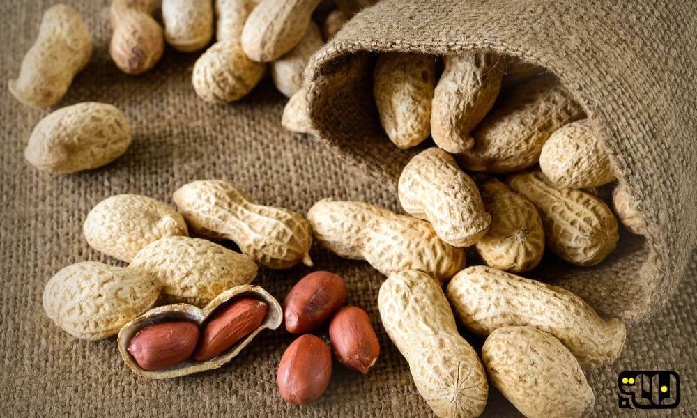 تصویر 3 از گردو پوست کاغذی نهاوند