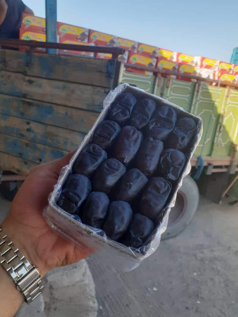 تصویر 2 از قیمت عمده خرما مضافتی