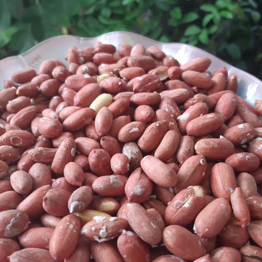 تصویر 2 از خرید عمده بیسکویت شیرمال با طعم هل