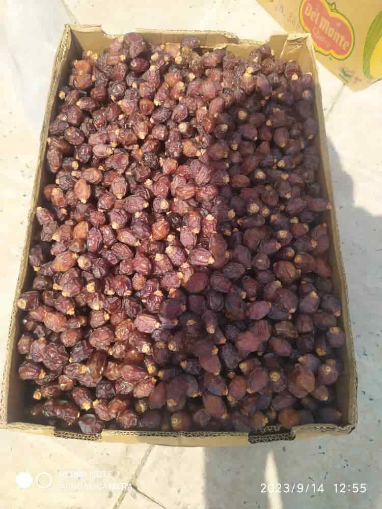 تصویر 3 از خرید و فروش خرما خاصویی ریزه صادراتی