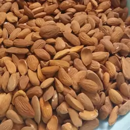 تصویر 1 از مغز هسته زرد الو + خرید عمده