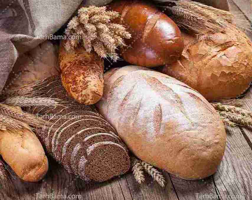 تصویر 3 از خمیر مایه جادوئی با کیفیت عالی و قیمت ارزان