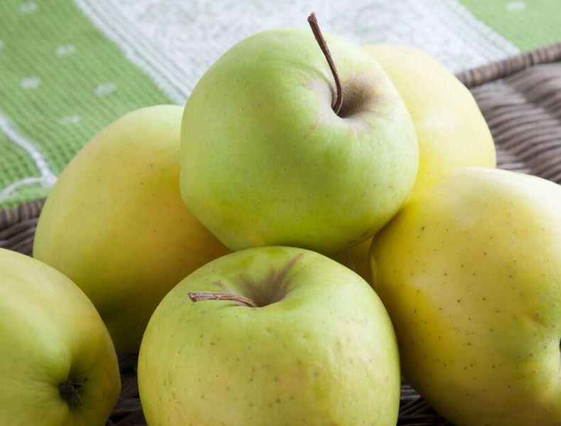 تصویر 1 از خرید و قیمت سیب کیلویی زرد با ارزان ترین قیمت