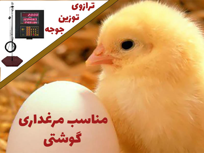 ترازو گرمی
