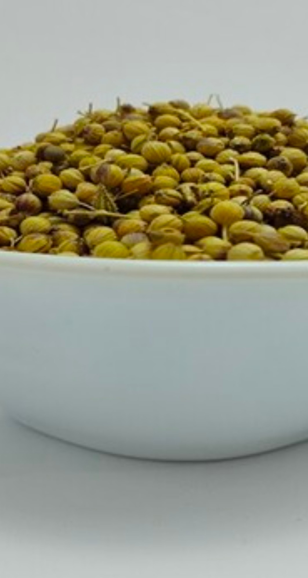 خرید بذر گشنیز